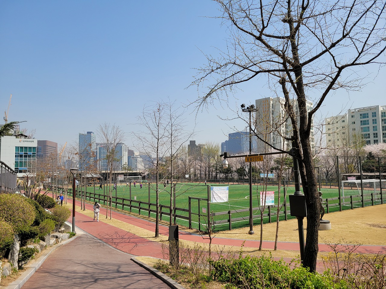 入了新鲜血