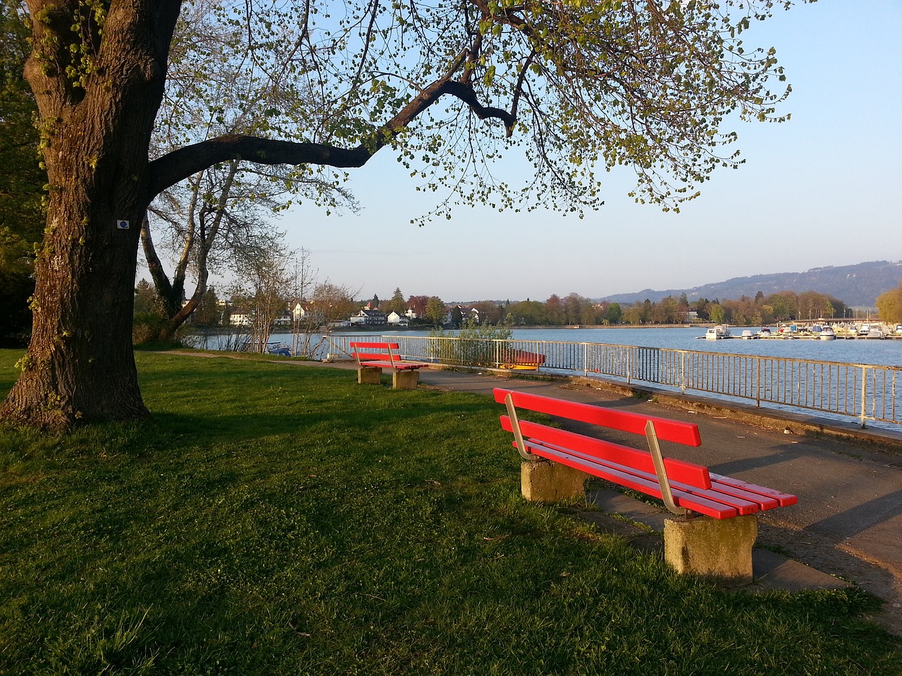 容与培养 容与培养