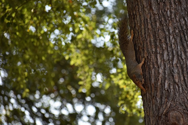 关键角色 关键角色
