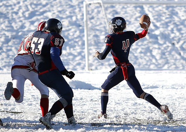 国家队表现 国家队表现