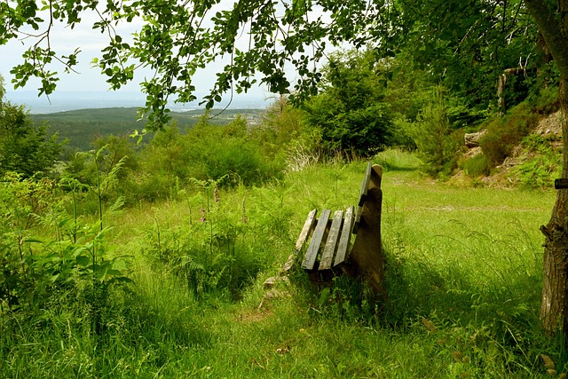 往往來自對 往往來自對